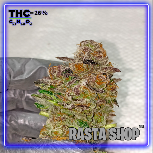 Rasta Shop