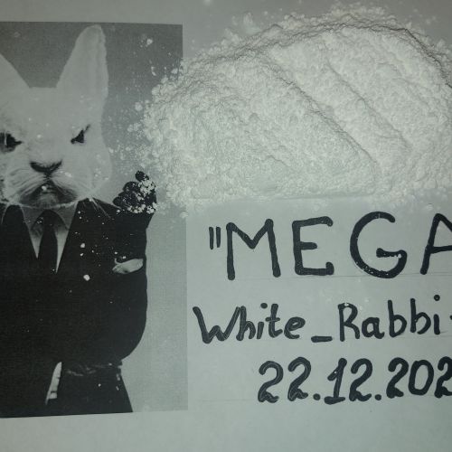 White_Rabbit