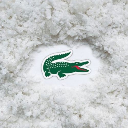 Lacoste Shop